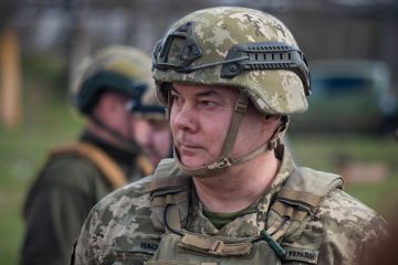 Чому з Білорусі майже не злітають російські літаки та дрони: Наєв дав відповідь Чому з Білорусі майже не злітають російські літаки та дрони: Наєв дав відповідь