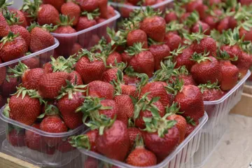 ​В Україні почали знижуватися ціни на полуницю