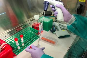 В Україні підтверджено 27 462 випадки COVID-19 В Україні підтверджено 27 462 випадки COVID-19