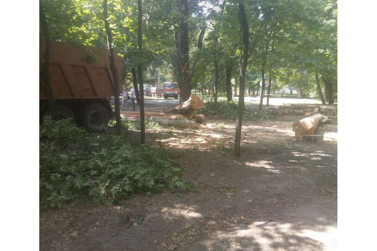 Активісти «арештували» техніку, яка пиляла дерева у парку Глоби Активісти «арештували» техніку, яка пиляла дерева у парку Глоби