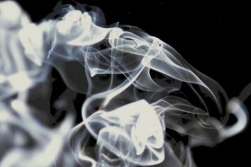 Троє загиблих та одна непритомна: у Вінницькій області знайшли тіла 4 осіб Троє загиблих та одна непритомна: у Вінницькій області знайшли тіла 4 осіб