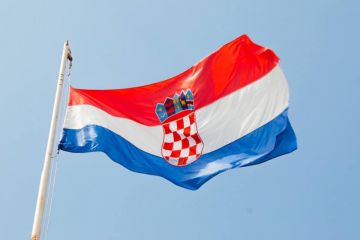 Хорватія планує виділити майже три мільйони євро на розмінувальні машини для України Хорватія планує виділити майже три мільйони євро на розмінувальні машини для України