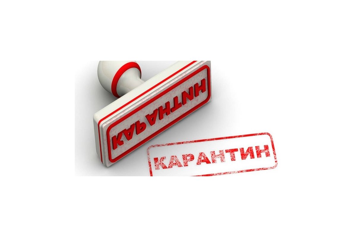 Локдаун та його правила Локдаун та його правила