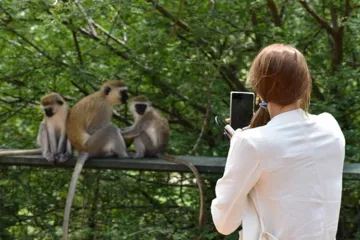 ​Чим фото туристів допомагають тваринам?