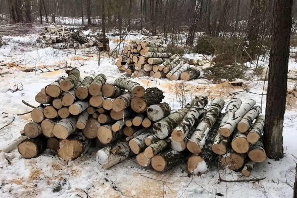 Дерева не ростуть ― ростуть збитки Дерева не ростуть ― ростуть збитки