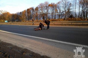 Почему на свободе Илья Саввин – главный «смотрящий» Курченко в Украине? Почему на свободе Илья Саввин – главный «смотрящий» Курченко в Украине?