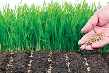 Російське вторгнення в Україну : російські війська тиснуть на українських фермерів на тимчасово окупованих територіях Російське вторгнення в Україну : російські війська тиснуть на українських фермерів на тимчасово окупованих територіях