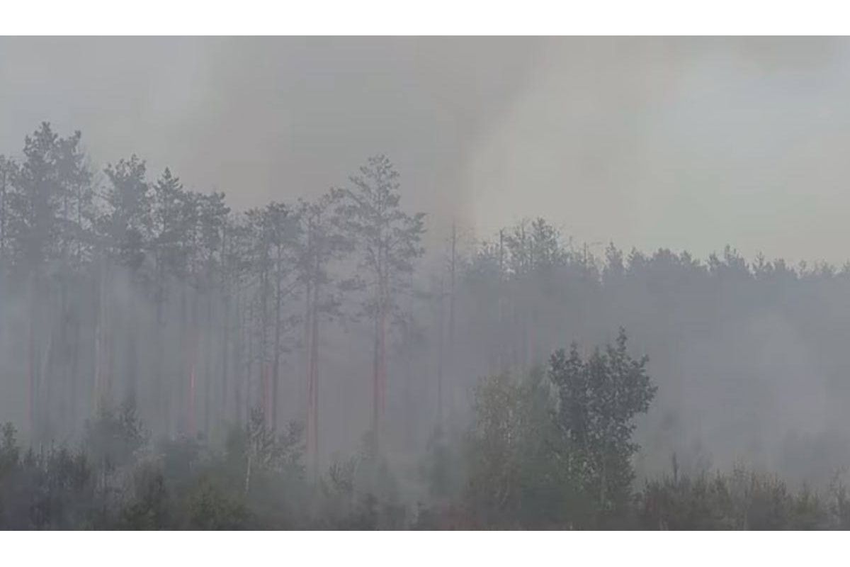 Під Києвом після ворожих обстрілів згоріло 10 гектарів лісу Під Києвом після ворожих обстрілів згоріло 10 гектарів лісу