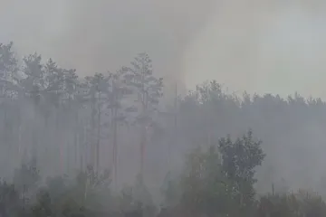 ​Під Києвом після ворожих обстрілів згоріло 10 гектарів лісу