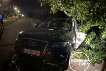 В Киеве пьяная судья за рулем Audi едва не убила прохожих и потом чуть не утонула в реке В Киеве пьяная судья за рулем Audi едва не убила прохожих и потом чуть не утонула в реке