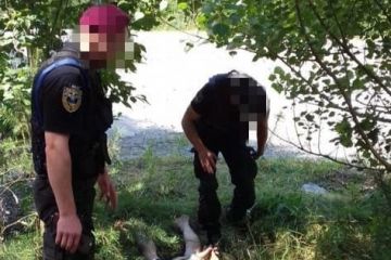 Побиття адвоката – на Київщині підозрюють двох колишніх поліцейських у перевищенні службових повноважень Побиття адвоката – на Київщині підозрюють двох колишніх поліцейських у перевищенні службових повноважень