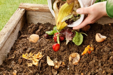 Як зеленіє Львів Як зеленіє Львів