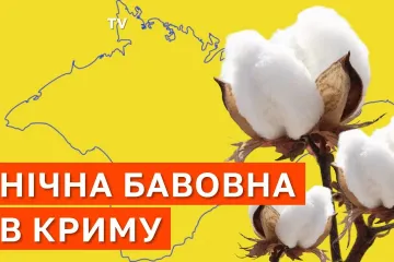 ​У Криму - масштабна "бавовна" по усій території півострова: що відомо