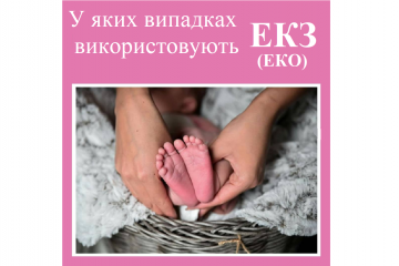 Репродуктолог Київ: У яких випадках використовують ЕКЗ (ЕКО) Репродуктолог Київ: У яких випадках використовують ЕКЗ (ЕКО)