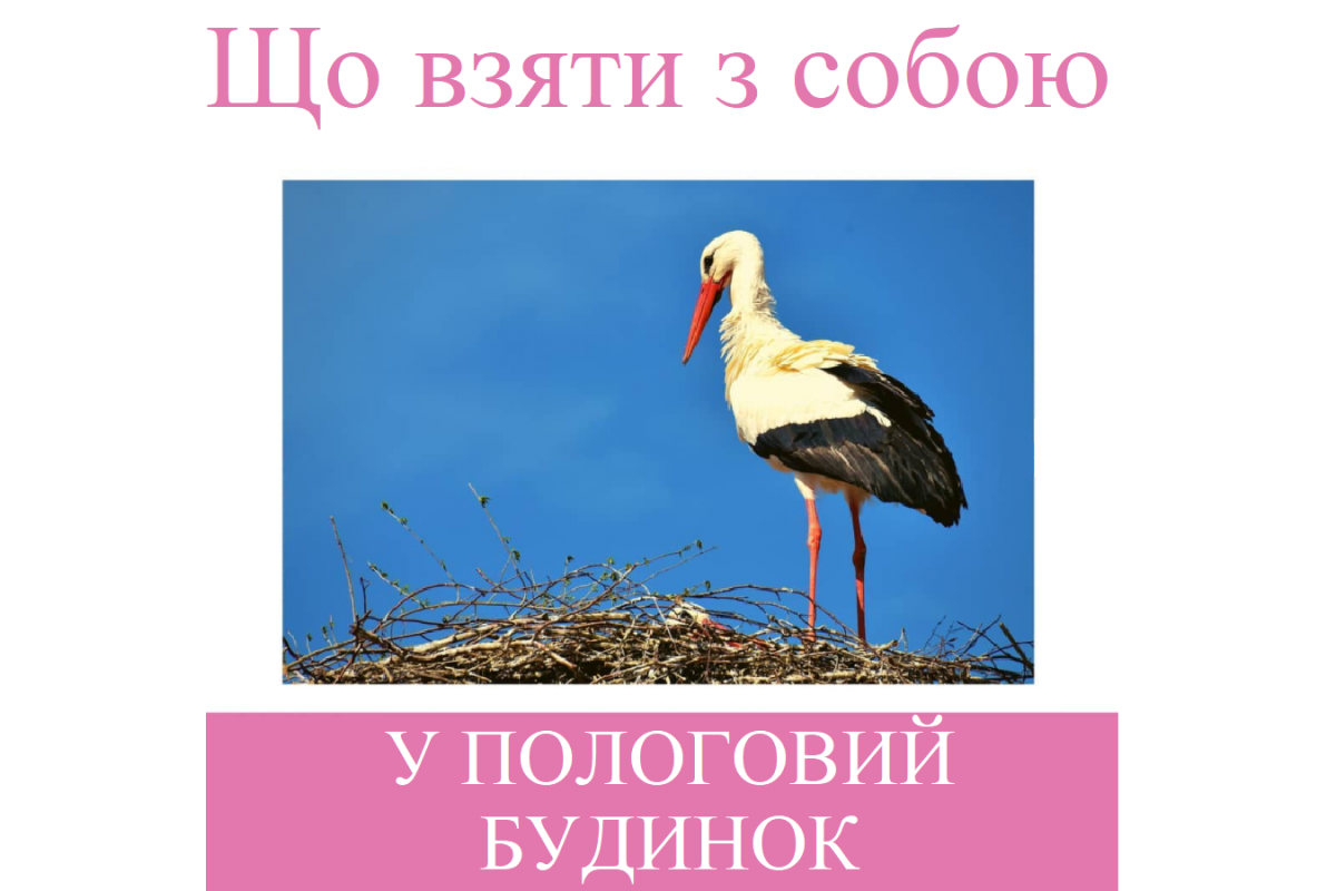 Репродуктолог Київ: Що взяти з собою у пологовий будинок? Репродуктолог Київ: Що взяти з собою у пологовий будинок?