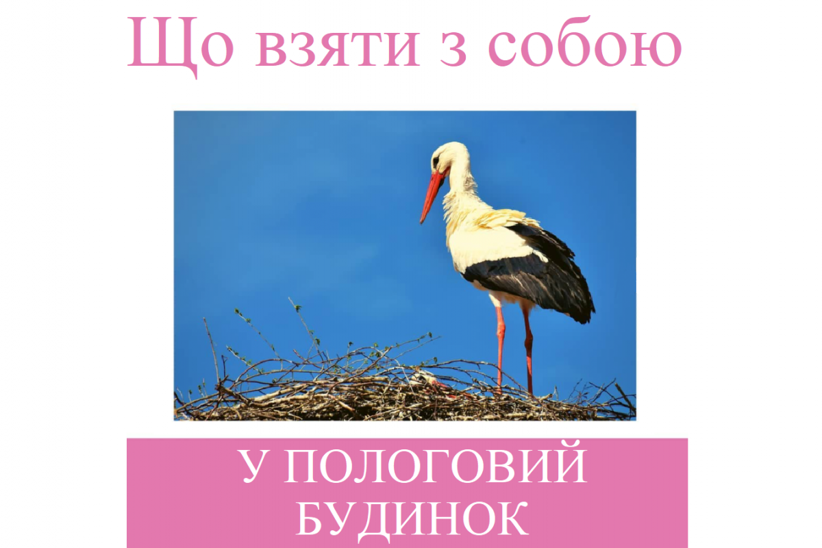 Репродуктолог Київ: Що взяти з собою у пологовий будинок?