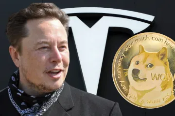 ​Товары Tesla за криптовалюту: атрибуты известного бренда можно купить за Dogecoin