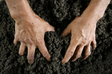 Керівник львівського Держгеокадастру незаконно передав ділянку вартістю 12 млн гривень Керівник львівського Держгеокадастру незаконно передав ділянку вартістю 12 млн гривень