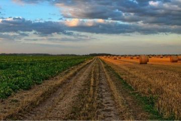 Скільки тепер коштуватиме гектар землі в Україні? Скільки тепер коштуватиме гектар землі в Україні?