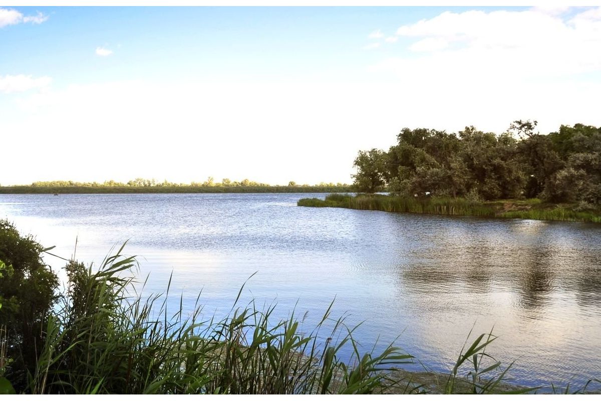 Прокуратура вимагає повернути до державної власності землю на острові Янушев Прокуратура вимагає повернути до державної власності землю на острові Янушев