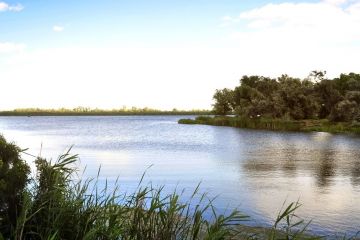 Прокуратура вимагає повернути до державної власності землю на острові Янушев Прокуратура вимагає повернути до державної власності землю на острові Янушев
