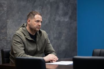 Андрій Єрмак бажає, щоб арабські країни долучились до майбутнього саміту миру Андрій Єрмак бажає, щоб арабські країни долучились до майбутнього саміту миру