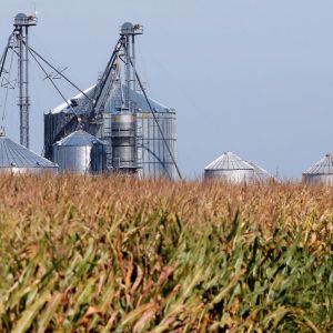 З початку року банки надали аграріям кредитів на суму 45,6 млрд гривень З початку року банки надали аграріям кредитів на суму 45,6 млрд гривень