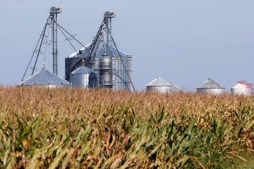 З початку року банки надали аграріям кредитів на суму 45,6 млрд гривень З початку року банки надали аграріям кредитів на суму 45,6 млрд гривень