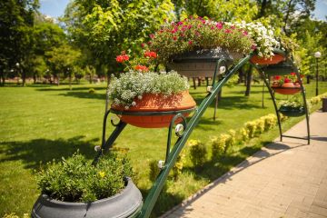 Центральний парк Покрова перетворився із пустки на сучасний центр дозвілля тисяч людей – Валентин Резніченко Центральний парк Покрова перетворився із пустки на сучасний центр дозвілля тисяч людей – Валентин Резніченко