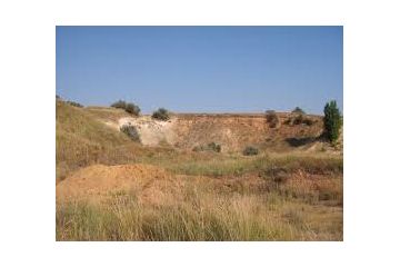 Орендаря піщаного кар’єру зобов’язано повернути громаді 11 га Орендаря піщаного кар’єру зобов’язано повернути громаді 11 га