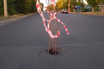 ​На Дніпропетровщині "виросло" дерево на щойно відремонтованій дорозі