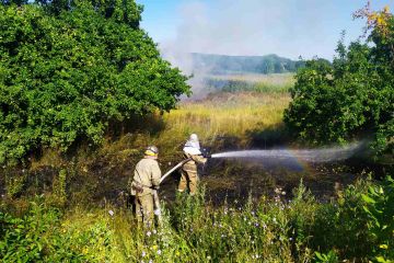 У Царичанському районі рятувальники тричі за день гасили загорання сухої трави У Царичанському районі рятувальники тричі за день гасили загорання сухої трави