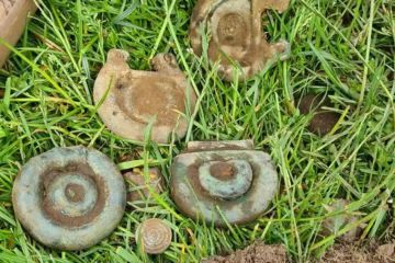 Шотландський археолог-любитель знайшов артефакти часів Бронзового століття Шотландський археолог-любитель знайшов артефакти часів Бронзового століття