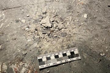 Поліція затримала мешканця Кривого Рогу, який кинув гранату в людей Поліція затримала мешканця Кривого Рогу, який кинув гранату в людей