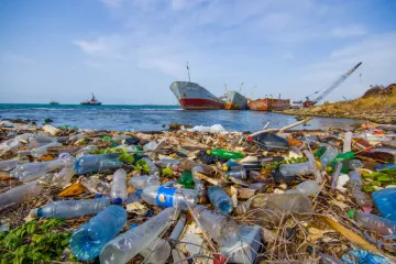 ​Пластик становить 85 відсотків сміття в океані