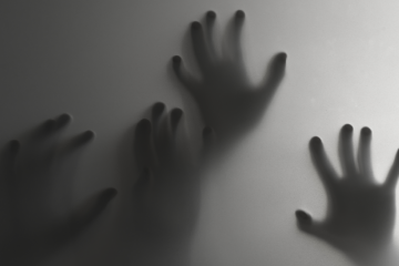 16 днів для свободи 16 днів для свободи