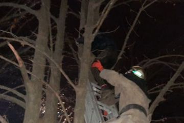 Рятівник, якого знімала з дерева служба порятунку Рятівник, якого знімала з дерева служба порятунку