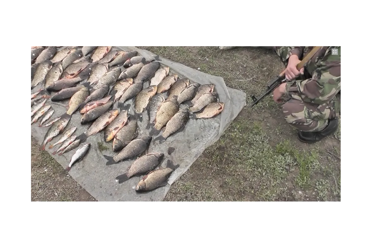 На Лиманщині судитимуть браконьєрів, які сітками виловили майже дві тисячі рибин