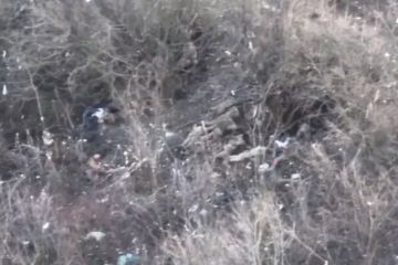 Окупанти розстріляли беззбройних українських військовополонених в Бахмутському районі – розпочато розслідування Окупанти розстріляли беззбройних українських військовополонених в Бахмутському районі – розпочато розслідування