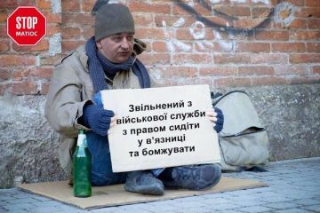 Матіос зізнався у скоєнні злочинів, але відповість «за все» Зеленський! Матіос зізнався у скоєнні злочинів, але відповість «за все» Зеленський!