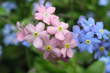 Гороскоп на эту неделю, с 25 по 31 мая, для всех знаков Зодиака Гороскоп на эту неделю, с 25 по 31 мая, для всех знаков Зодиака