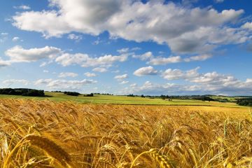 Президент України підписав закон про ринок землі Президент України підписав закон про ринок землі