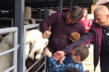 Богдан пришел в зоопарк и обругал животное Богдан пришел в зоопарк и обругал животное