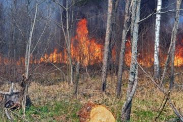 Пожежа у Чорнобилі наблизилась до атомної станції Пожежа у Чорнобилі наблизилась до атомної станції