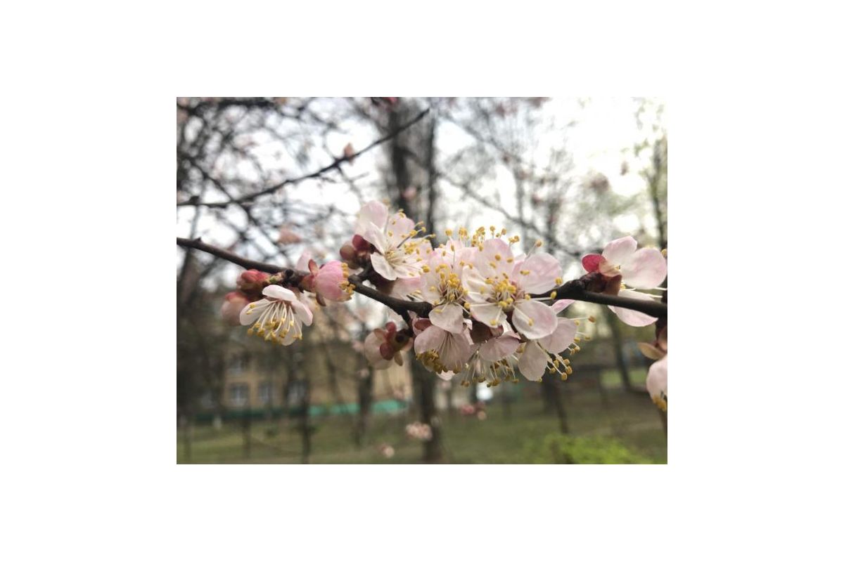 На Україну насувається холодний атмосферний фронт На Україну насувається холодний атмосферний фронт