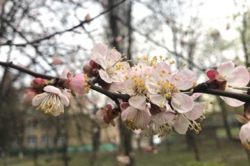 На Україну насувається холодний атмосферний фронт На Україну насувається холодний атмосферний фронт