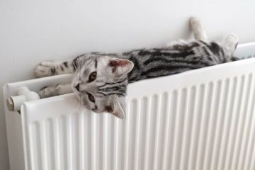 Кабмін скасував дешеву комуналку Кабмін скасував дешеву комуналку