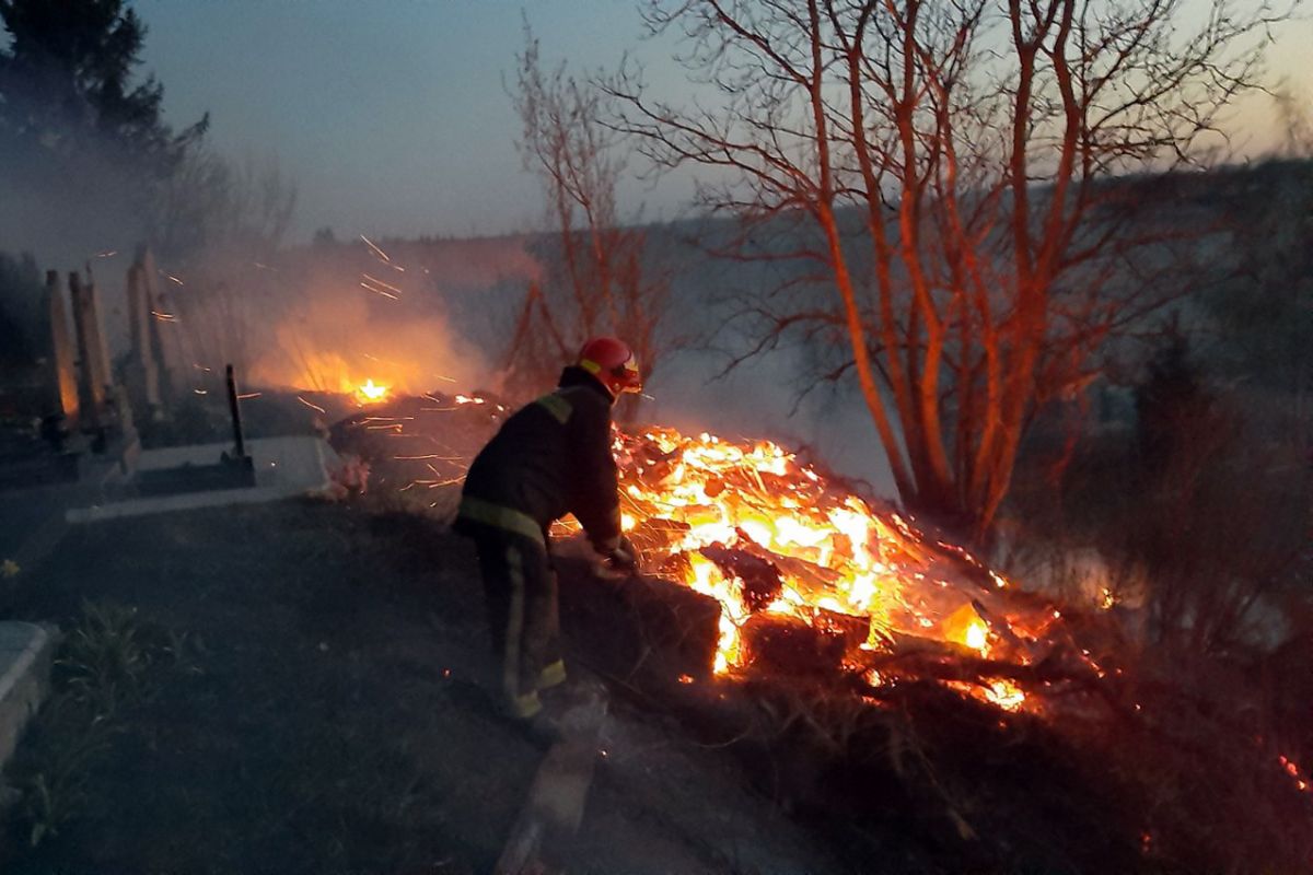 В Україні збільшили штрафи за підпал трави та забруднення повітря В Україні збільшили штрафи за підпал трави та забруднення повітря