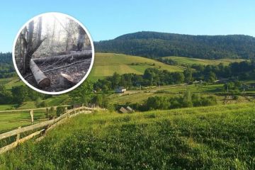 Убытки на 800 млн грн: во Львовской области незаконно вырубают национальный парк, – расследование Убытки на 800 млн грн: во Львовской области незаконно вырубают национальный парк, – расследование