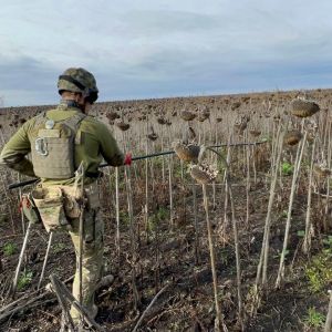 Після повномасштабної війни агросектор зазнав втрат на рівні близько 30% свого потенціалу Після повномасштабної війни агросектор зазнав втрат на рівні близько 30% свого потенціалу